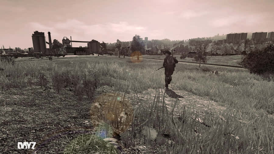 P Fondods De Dayz Wallpapers