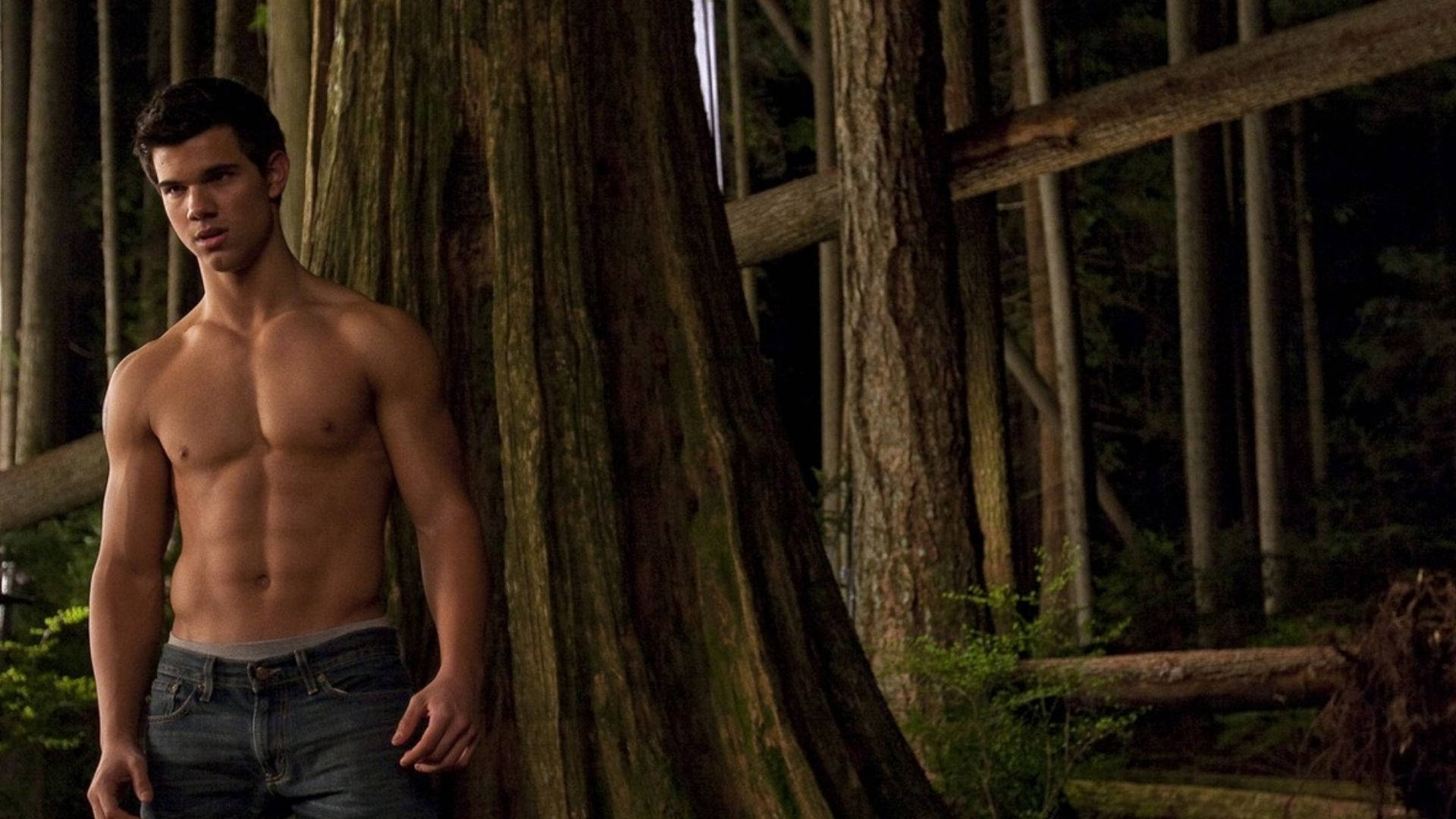 Twilight Taylor Lautner