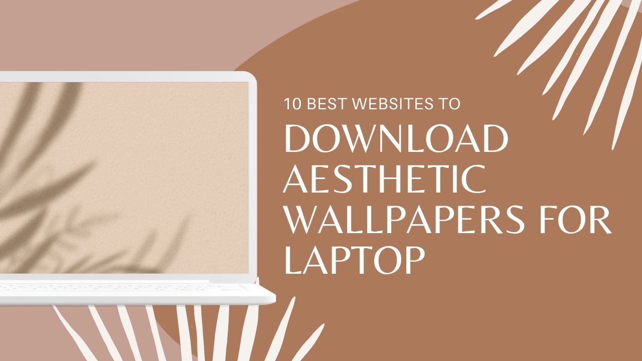 10 Best Websites to Download Aesthetic Wallpapers for Laptop