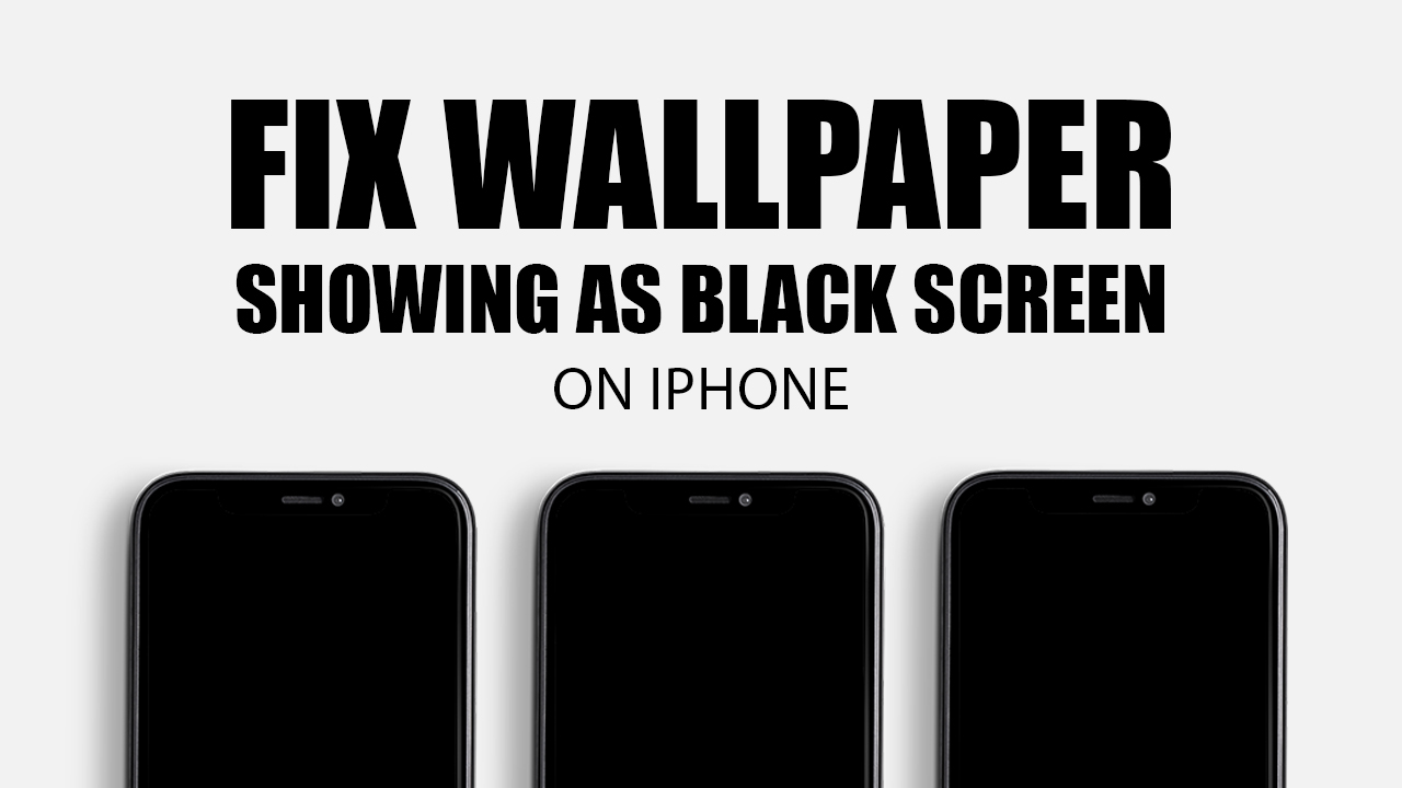 Fix Wallpaper Showing as Black Screen on iPhone