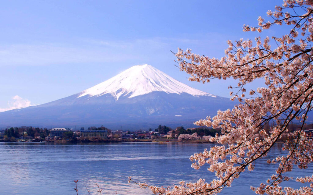 Fuji Peak And Cherry Blossoms In Japan Wallpaper 