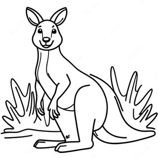 Kangaroo Coloring Page | Kangaroo coloring page