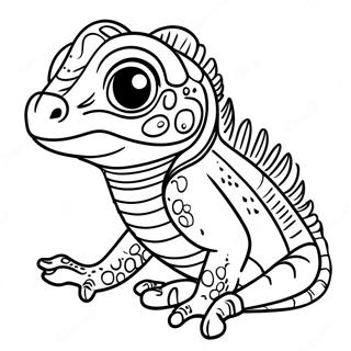 Cute Baby Iguana Coloring Page | Iguana coloring page