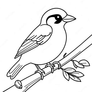 Orioles Coloring Page | Orioles coloring page