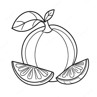 Orange Fruit Coloring Page | Orange coloring page