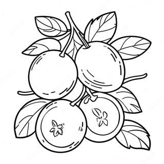 Colorful Tu Bishvat Fruit Coloring Page | Tu Bishvat coloring page