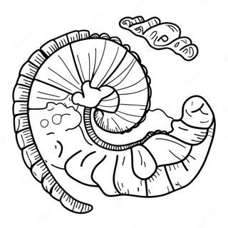 Fossil Coloring Page | Fossil coloring page