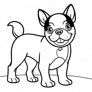 Playful Boston Terrier Coloring Page | Boston Terrier coloring page
