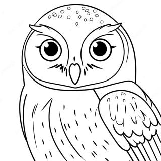 Hedwig the Owl Coloring Page | Hedwig coloring page