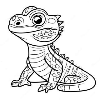 Bearded Dragon Coloring Page | Bearded Dragon coloring page