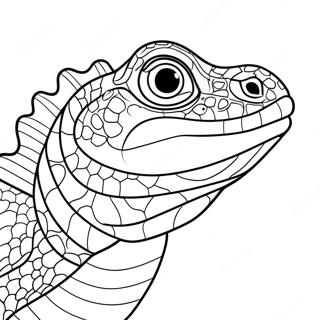 Reptile Coloring Page | Reptile coloring page
