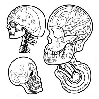Anatomy and Physiology Coloring Page | Anatomy and Physiology coloring page