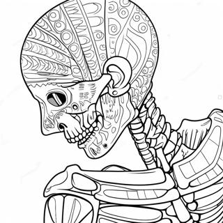 Detailed Human Skeleton Coloring Page | Anatomy and Physiology coloring page