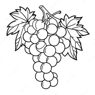 Grape Coloring Page | Grape coloring page