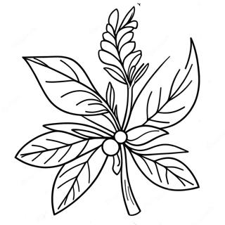 Mistletoe Coloring Page | Mistletoe coloring page