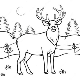 Elk Coloring Page | Elk coloring page