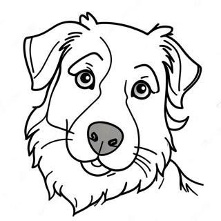 Australian Shepherd Coloring Page | Australian Shepherd coloring page