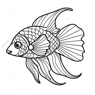 Beta Fish Coloring Pages