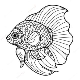 Colorful Beta Fish Swimming Coloring Page | Beta Fish coloring page