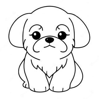 Shih Tzu Puppy Coloring Page | Shih Tzu coloring page