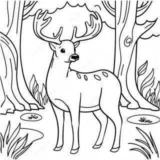 Buck Deer in a Forest Coloring Page | Buck coloring page
