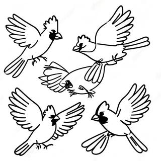 Colorful Cardinals in Flight Coloring Page | Cardinals coloring page