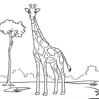 Majestic Giraffe Standing Tall Coloring Page | Realistic Giraffe coloring page
