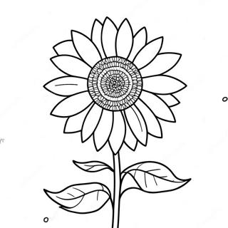 Colorful Kansas Sunflower Coloring Page | Kansas Day coloring page