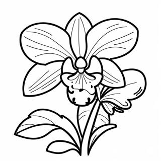 Beautiful Orchid in Bloom Coloring Page | Orchid coloring page