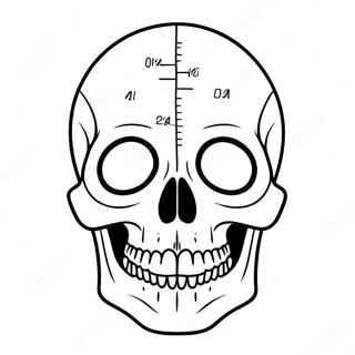 Simple Blank Skull Diagram Coloring Page | Blank Skull Diagram coloring page