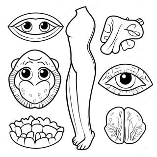Body Parts Coloring Page | Body Parts coloring page