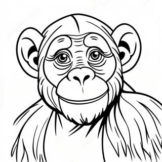 Chimpanzee Coloring Page | Chimpanzee coloring page