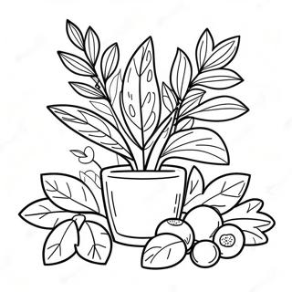 Herb Coloring Page | Herb coloring page
