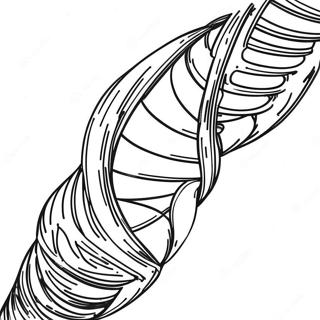 DNA Double Helix Coloring Page | Genetics coloring page