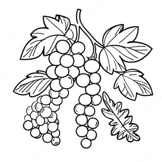 Vine Coloring Page | Vine coloring page