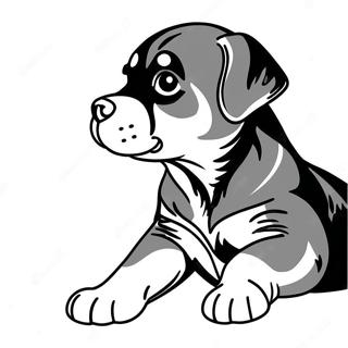 Playful Rottweiler Puppy Coloring Page | Rottweiler coloring page