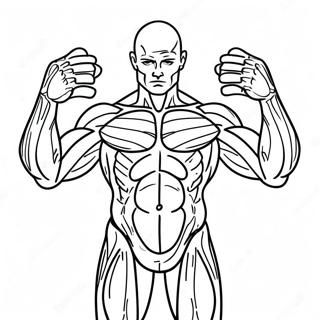 Human Muscles Anatomy Coloring Page | Human Muscles coloring page