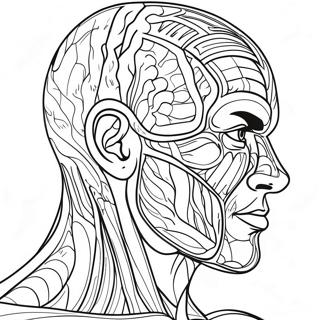 Detailed Human Muscles Coloring Page | Human Muscles coloring page