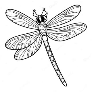 Dragonfly Coloring Page | Dragonfly coloring page