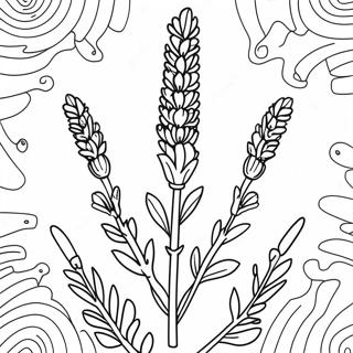 Lavender Flower Coloring Page | Lavender coloring page