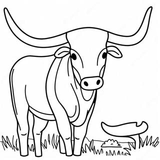 Longhorn Coloring Page | Longhorn coloring page