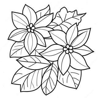 Beautiful Poinsettia Plant Coloring Page | Poinsettia coloring page