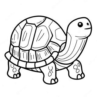 Tortoise Coloring Page | Tortoise coloring page