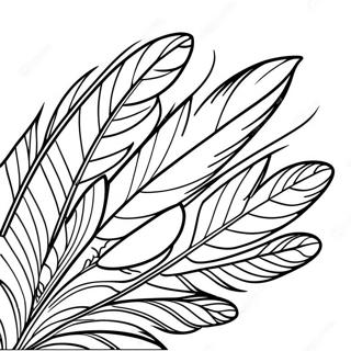 Turkey Feather Coloring Page | Turkey Feather coloring page