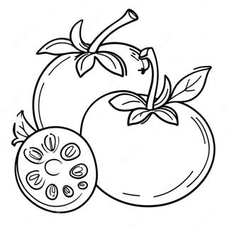 Tomato Coloring Page | Tomato coloring page