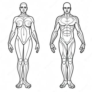 Body Outline Coloring Page | Body Outline coloring page
