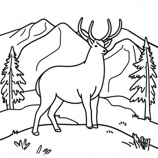 Montana Wildlife Coloring Page | Montana coloring page