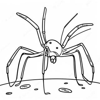 Daddy Long Legs Coloring Page | Daddy Long Legs coloring page