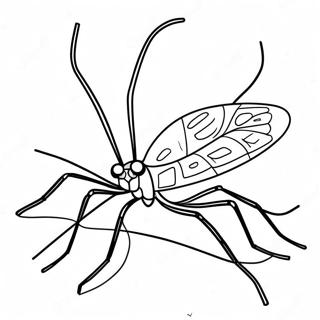 Daddy Long Legs Coloring Pages