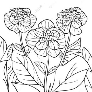 Beautiful Hydrangea Garden Coloring Page | Hydrangea coloring page
